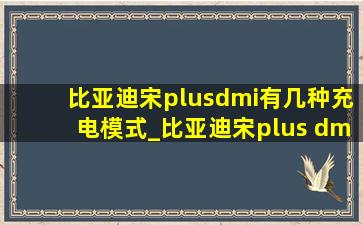 比亚迪宋plusdmi有几种充电模式_比亚迪宋plus dmi充电方式